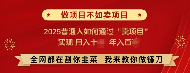 必看，做项目不如卖项目，2025普通人如何通过“卖项目”实现月入十个，年入百个比牛网网赚学习知识比牛网