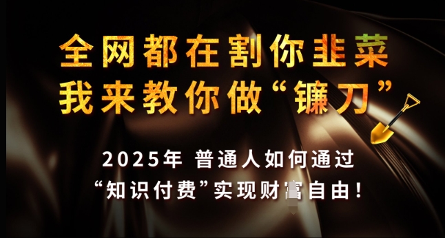 全网都在割你韭菜,我来教你做镰刀,2025年普通人如何通过 知识付费 实现财F自由【揭秘】比牛网网赚学习知识比牛网